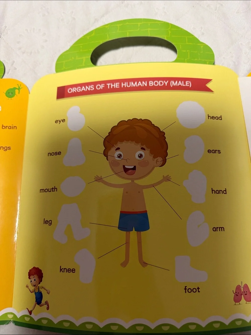 My Body! Kids Educational Sticker Book - Orange